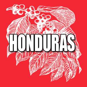View Honduras Coffees and Info