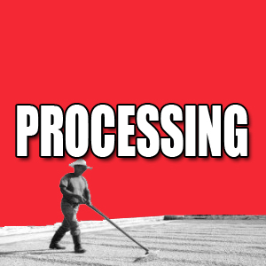 Processing
