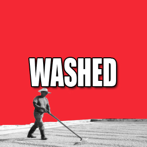 View Washed Coffees and Info