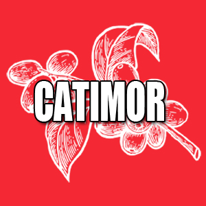 View Catimor Coffees and Info