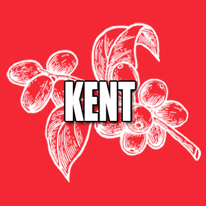 View Kent Coffees and Info