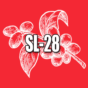 View SL-28 Coffees and Info