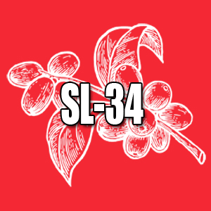 View SL-34 Coffees and Info