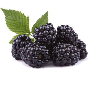 Blackberry