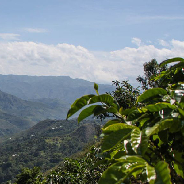 Colombia Inza - Veredas Vecinas