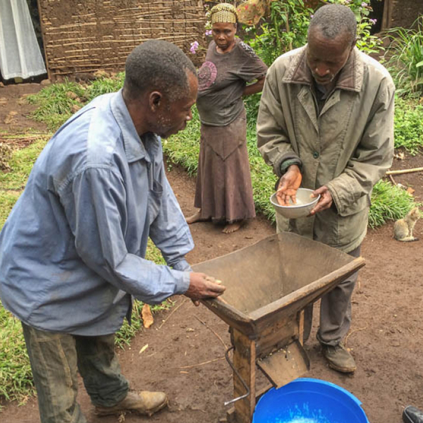 Congo Kivu - Kalehe Cooperative (1/2lb Special)