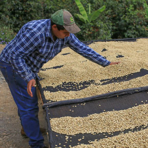 Costa Rica Tarrazu - Roger Solis La Casona