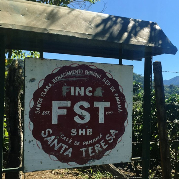 Panama Chiriqui - Finca Santa Teresa Honey