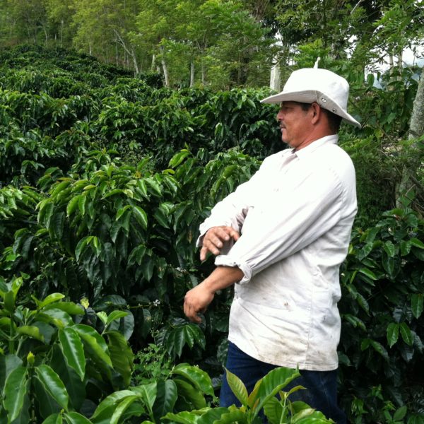 Colombia Antioquia - Santa Barbara Estate Decaf