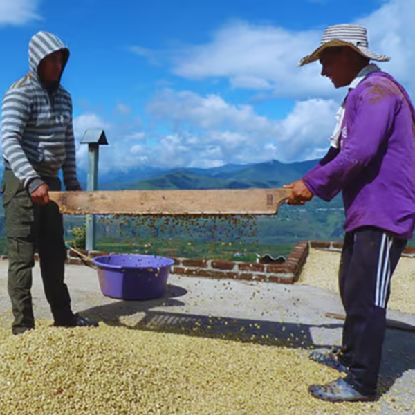 Colombia Narino - Diego Lopez
