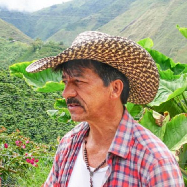 Colombia Tolima - China Alta