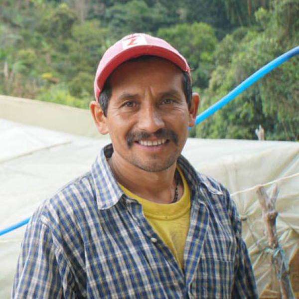 Colombia Tolima - Ibaque China Alta