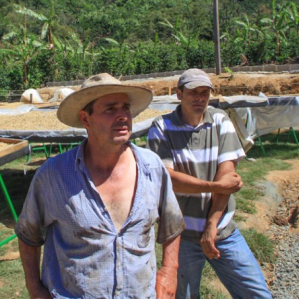 Costa Rica Tarrazu - Don Oscar
