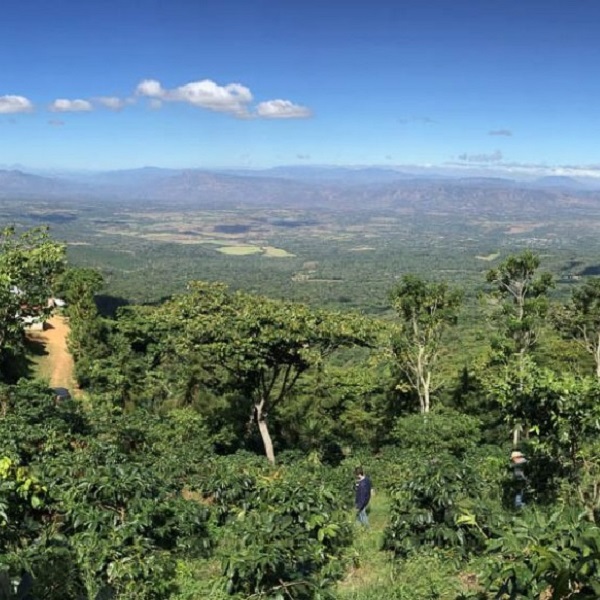El Salvador - Miravalle Tabi