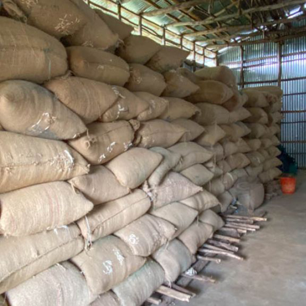 Ethiopia Agaro - Geta Bore