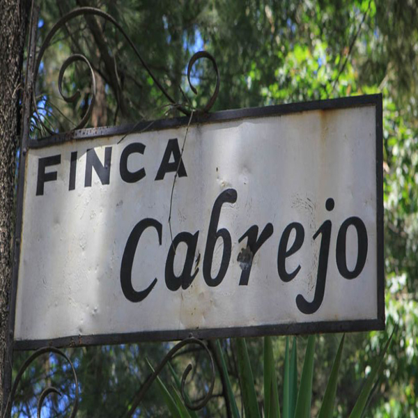 Guatemala Antigua - Finca Cabrejo