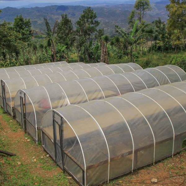 Honduras La Paz - Dona Aguilar Organic