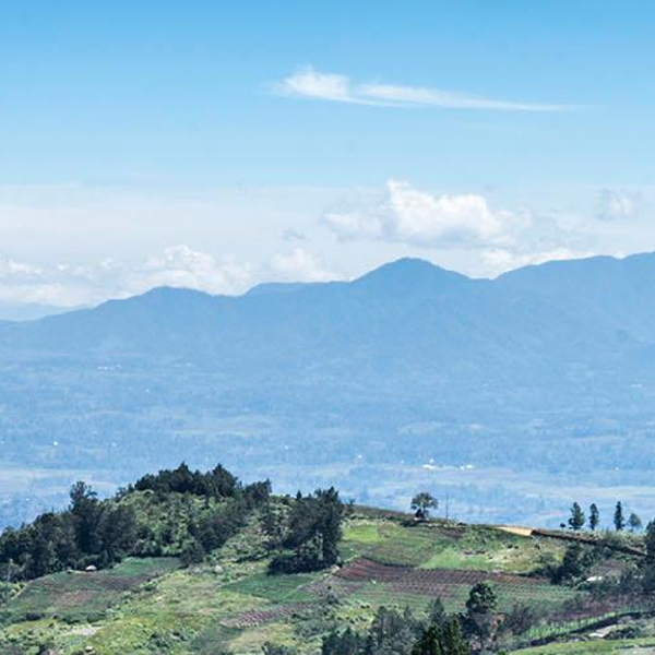 Honduras Ocotepeque - Cocamol Microlot