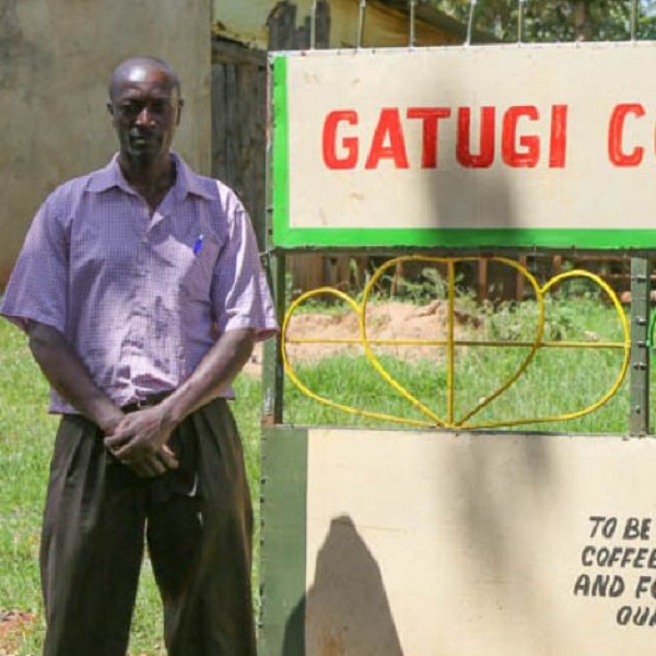 Kenya Nyeri - Gatugi Peaberry