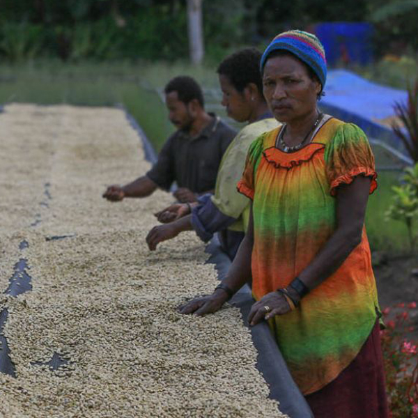 Papua New Guinea - Kimel AA