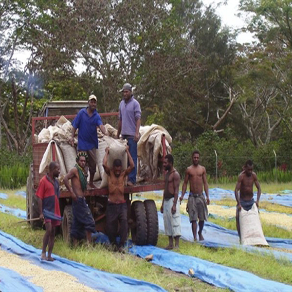 Papua New Guinea - Kimel Estate