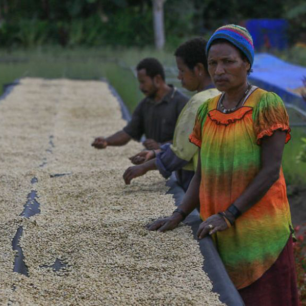 Papua New Guinea - Kimel Peaberry