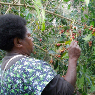 Papua New Guinea - Bauka Blue