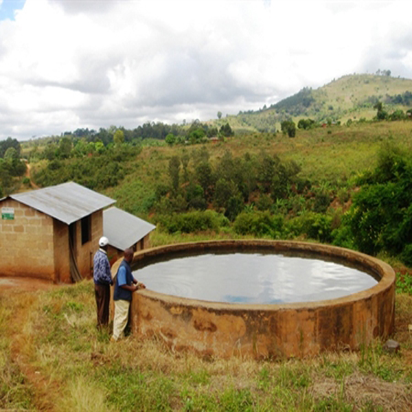 Tanzania Ruvuma - Mbinga Peaberry
